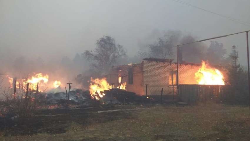 Луганщина в огне: из-за лесных пожаров начали гибнуть люди Луганщина в огне: из-за лесных пожаров начали гибнуть люди