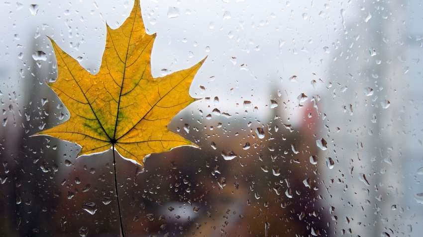 Синоптики рассказали, когда в Украине ожидается похолодание и циклон с грозами Синоптики рассказали, когда в Украине ожидается похолодание и циклон с грозами