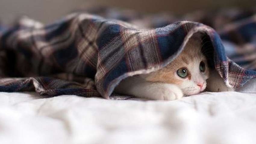 Синоптики розповіли яку погоду очікувати українцям 19 вересня