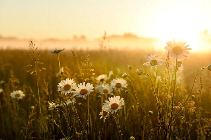 Яке церковне свято 12 серпня: що в цей день обов'язково потрібно зробити