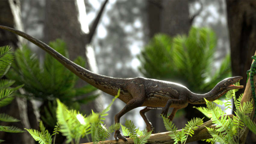 Он такой маленький: ученые впервые выяснили, как выглядел мозг динозавра Он такой маленький: ученые впервые выяснили, как выглядел мозг динозавра