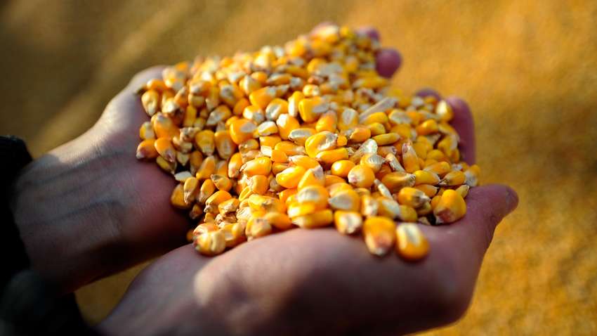 Экспорт агропродукции из Украины вырос на 22%