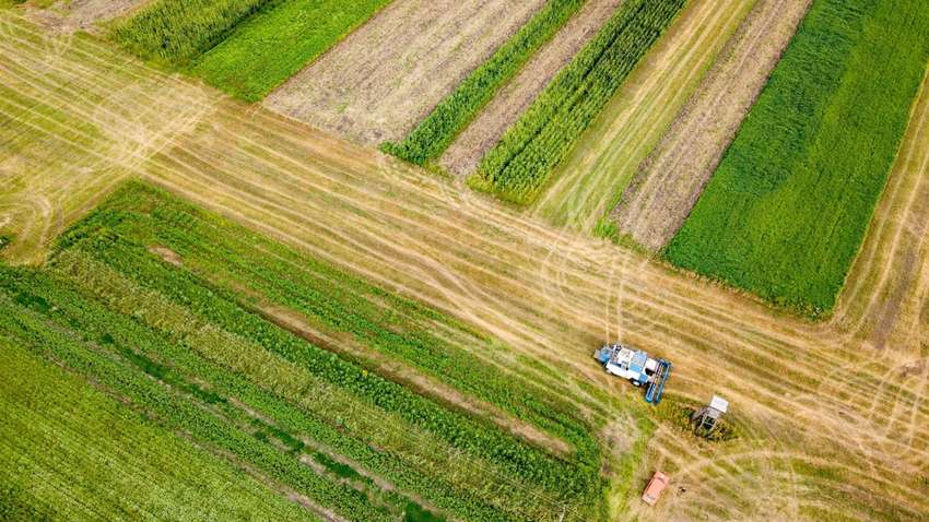 Як зупинити земельне рейдерство в Україні - відповідь експерта