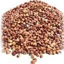 Китайцы пообещали Януковичу 20 тысяч тонн гречки