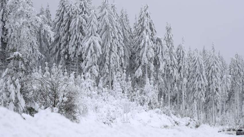 Церковный праздник 10 февраля: от чего в этот день лучше отказаться мужчинам