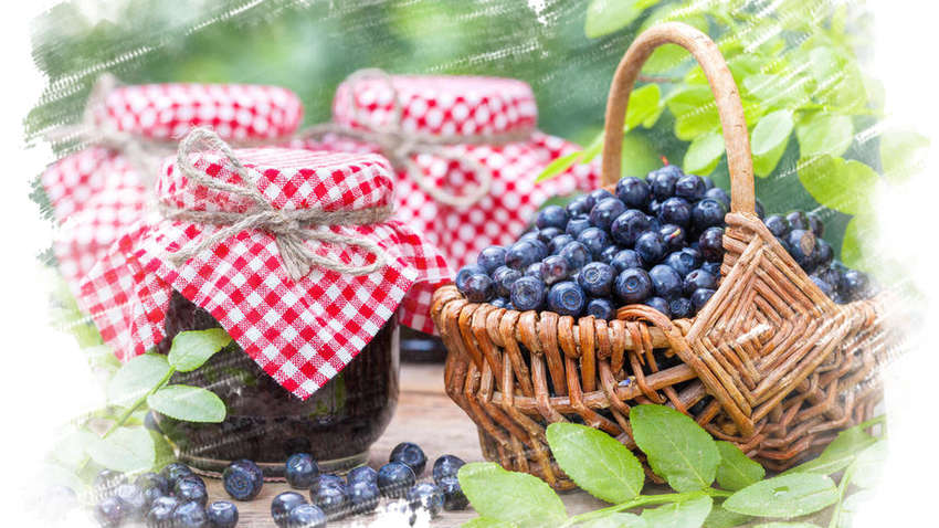 «П'ятихвилинка»: як швидко приготувати варення з чорниці «П'ятихвилинка»: як швидко приготувати варення з чорниці
