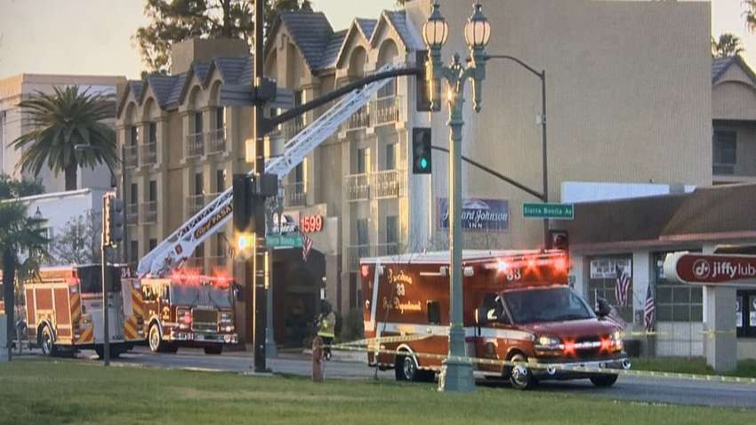 В США перекрыли улицу из-за нападения 40 тысяч пчел