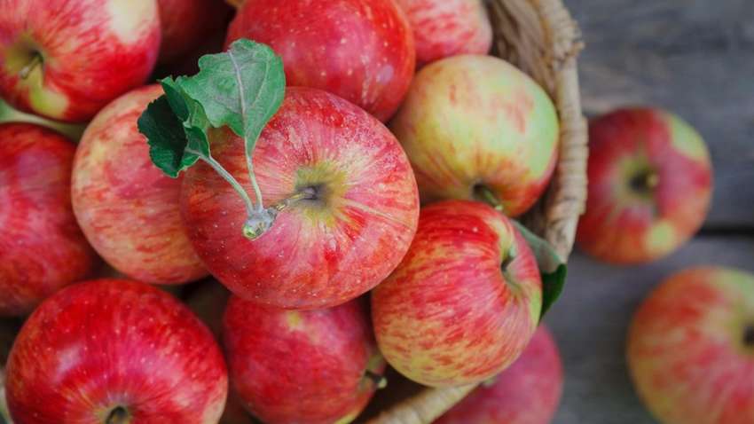 Не кожица: ученые назвали самую полезную часть яблок