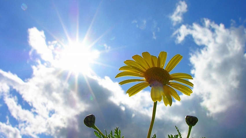 Украинцев предупредили о резкой смене погоды: прогноз на 7 июня Украинцев предупредили о резкой смене погоды: прогноз на 7 июня