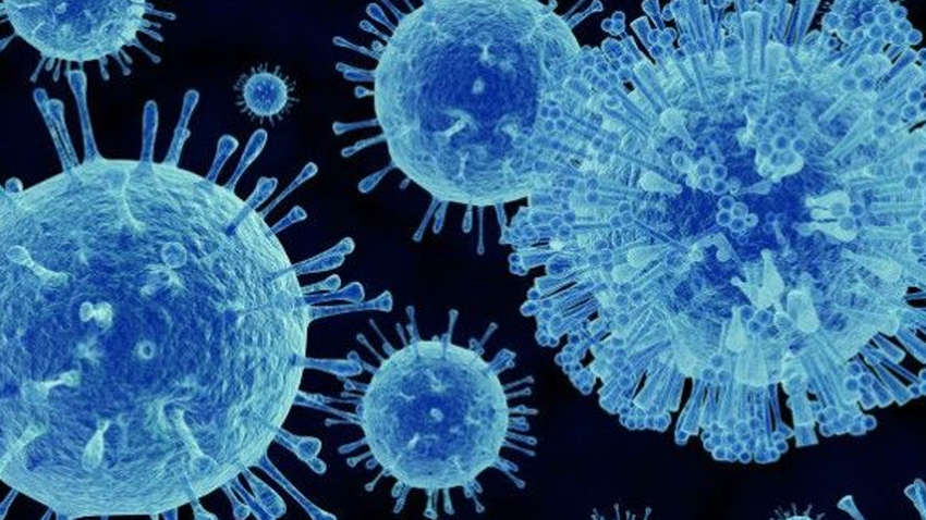 Ученые изобрели элементарный метод диагностики опасного вируса 