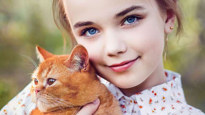 Школьница "заминировала" школу из-за котика