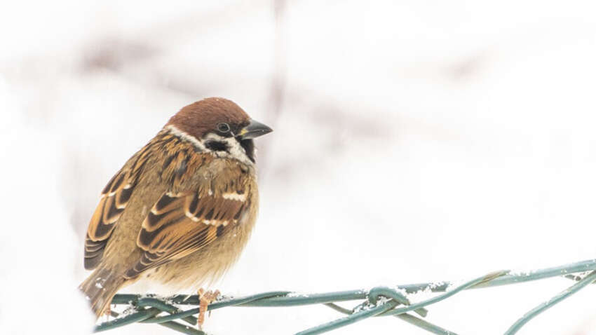 Какой церковный праздник 10 декабря: что сегодня принесет в дом удачу и лад Какой церковный праздник 10 декабря: что сегодня принесет в дом удачу и лад