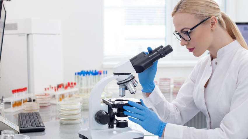 Ученые сообщили, какие продукты повышают риск рака почек