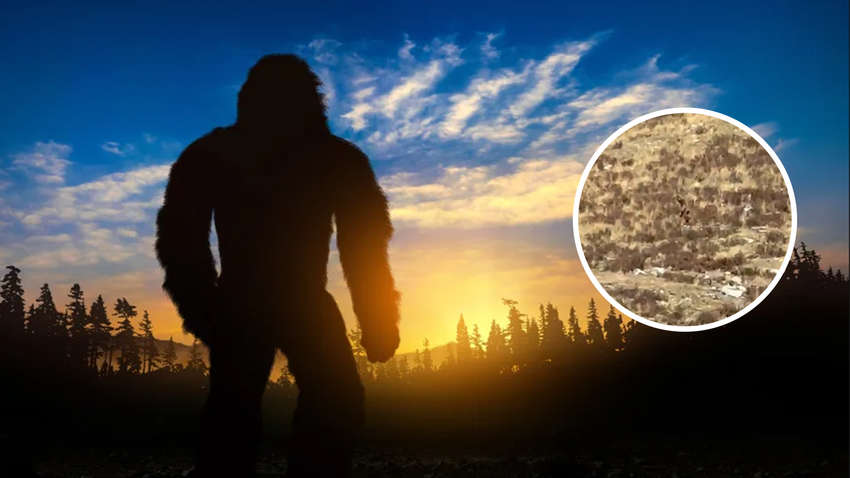 У США спіймали на відео бігфута: запис підкорив інтернет