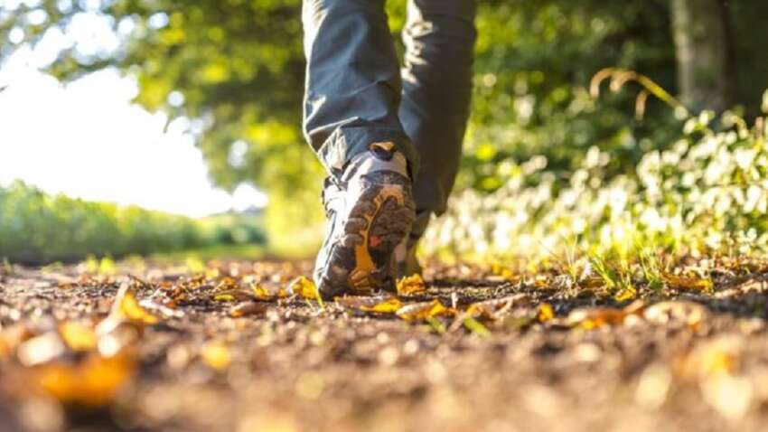 Деменція відступить назавжди: вчені приголомшили простою порадою Деменція відступить назавжди: вчені приголомшили простою порадою