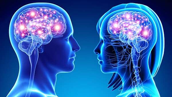 Ученые нашли способ омолодить мозг