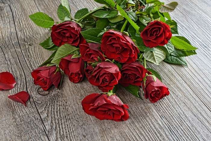 Що станеться, якщо подарувати парну кількість квітів: забобони Що станеться, якщо подарувати парну кількість квітів: забобони