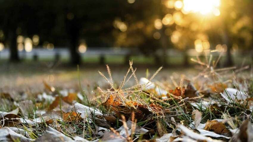 Яке церковне свято 3 листопада: для яких справ вдалий цей день Яке церковне свято 3 листопада: для яких справ вдалий цей день