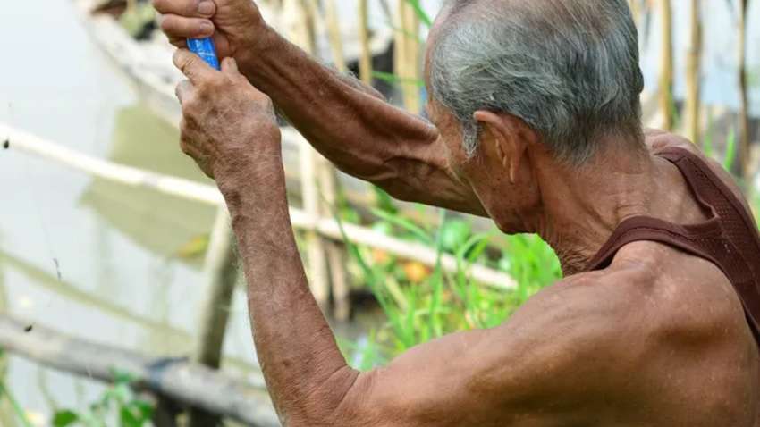 Как сохранить мышцы в пожилом возрасте: найден простой способ Как сохранить мышцы в пожилом возрасте: найден простой способ