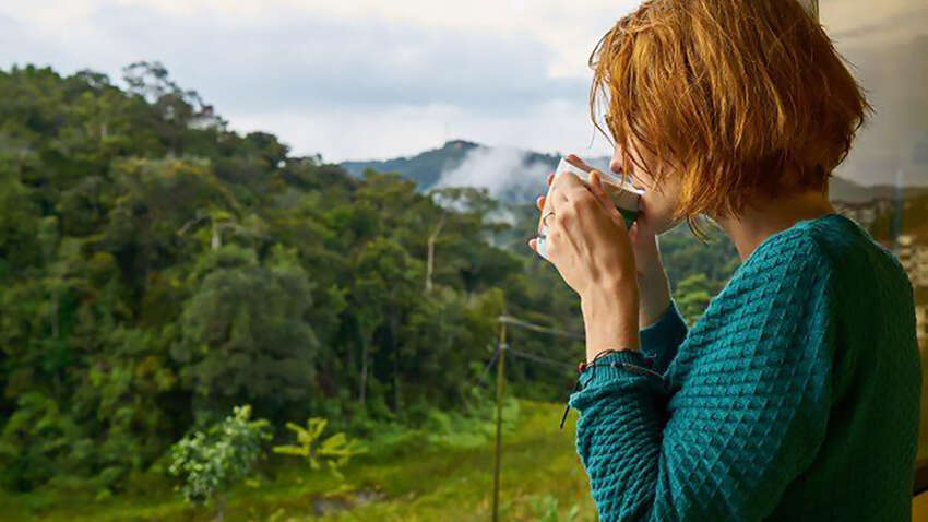 Благодаря этому вы быстро освоите себя в критических ситуациях: советы израильских психологов Благодаря этому вы быстро освоите себя в критических ситуациях: советы израильских психологов