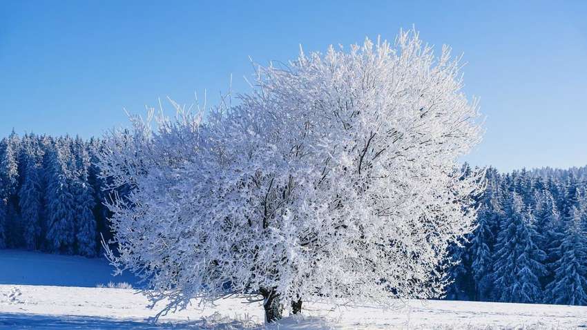Україну охопить похолодання: синоптики повідомили, де буде мороз і сніг Україну охопить похолодання: синоптики повідомили, де буде мороз і сніг