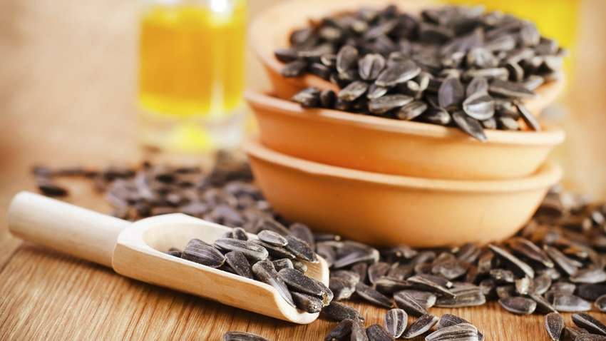 Чим небезпечне насіння соняшнику для імунітету