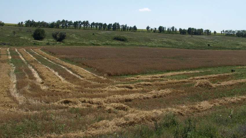 "У парламента еще есть время передумать насчет открытия  рынка земли", - нардеп Верещук 