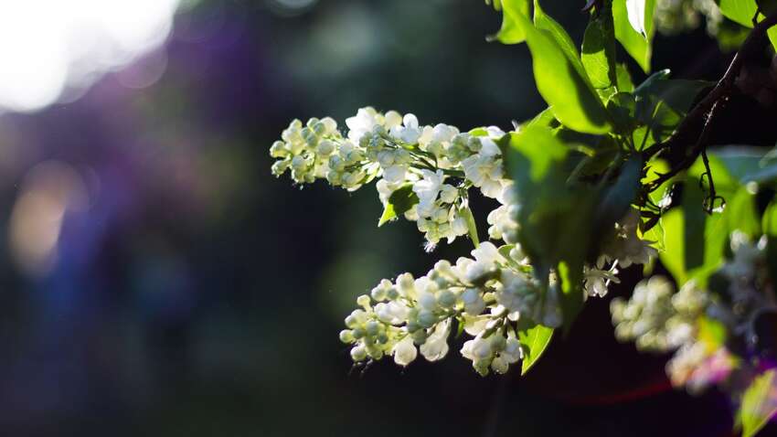 В Украине ожидается стремительное потепление до 20: синоптик назвал даты 