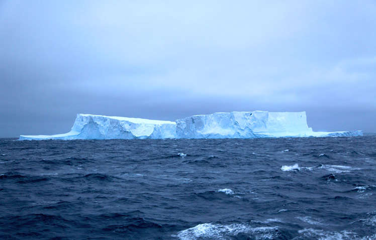 Изучать китов, криль и ледяную рыбу: украинские ученые отправились собирать новые данные о Южном океане Изучать китов, криль и ледяную рыбу: украинские ученые отправились собирать новые данные о Южном океане