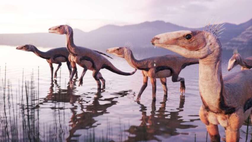 Ученые обнаружили кость, которая изменяет все, что мы знаем о динозаврах Ученые обнаружили кость, которая изменяет все, что мы знаем о динозаврах