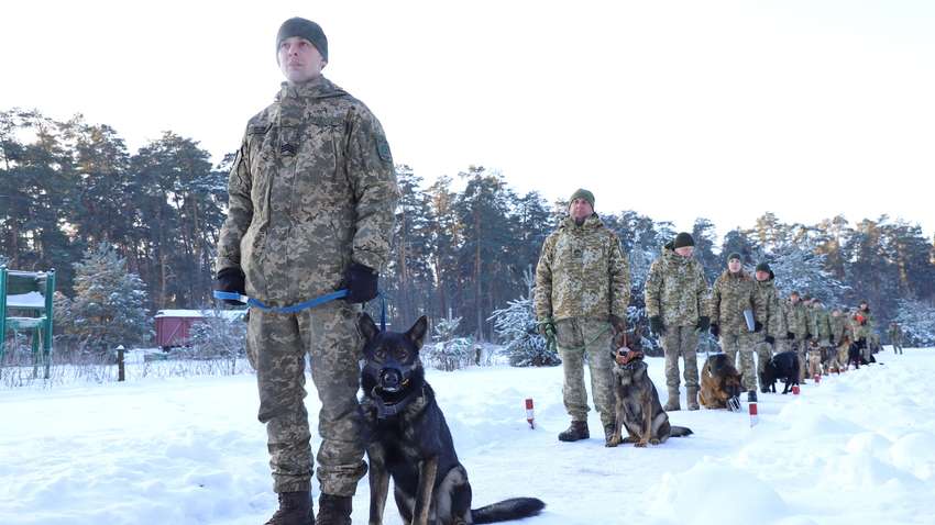 Роботу прикордонників посилили новоспечені команди кінологів Роботу прикордонників посилили новоспечені команди кінологів