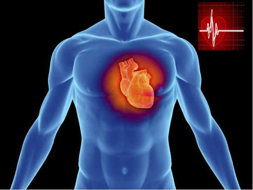 Ученые выяснили, как COVID-19 влияет на сердечные мышцы Ученые выяснили, как COVID-19 влияет на сердечные мышцы