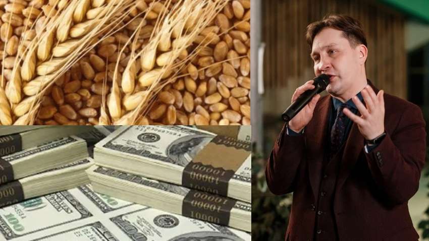 Василий Костюк: из-за экспорта зерна в Украине действует масштабная схема уклонения от налогообложения