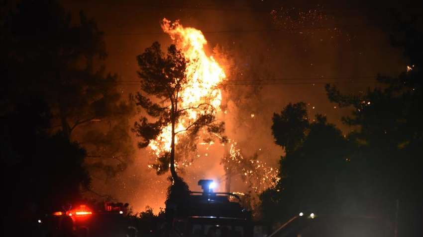 Туреччина спалахнула з новою силою: місцеві мешканці кинулись на допомогу пожежникам