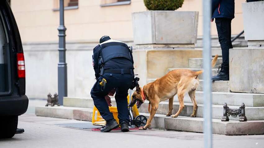 У Німеччині затримали трьох українців: у чому їх підозрюють