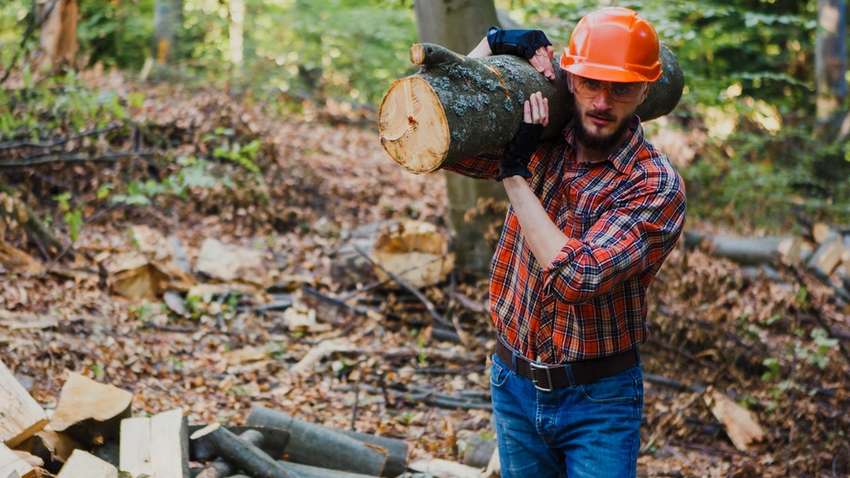 Експерти Європейської Бізнес Асоціації представили своє бачення Трудового кодексу 
