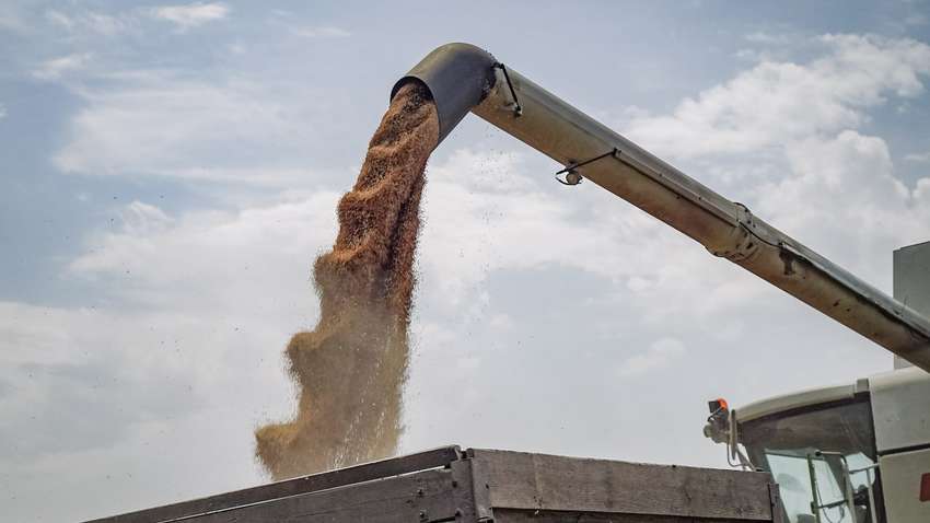 Экспорт агропродукции под контролем: правительство вводит новые правила Экспорт агропродукции под контролем: правительство вводит новые правила