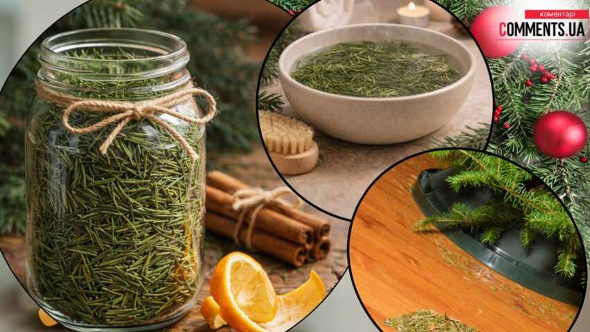 Поможет в кулинарии, косметологии и хозяйстве: как использовать хвою от елки 