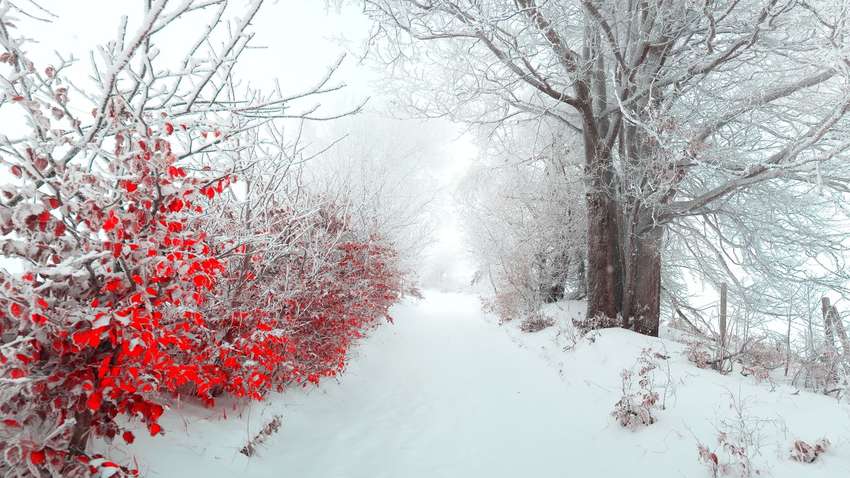 Синоптик удивил прогнозом погоды на январь и назвал даты похолодания в Украине Синоптик удивил прогнозом погоды на январь и назвал даты похолодания в Украине