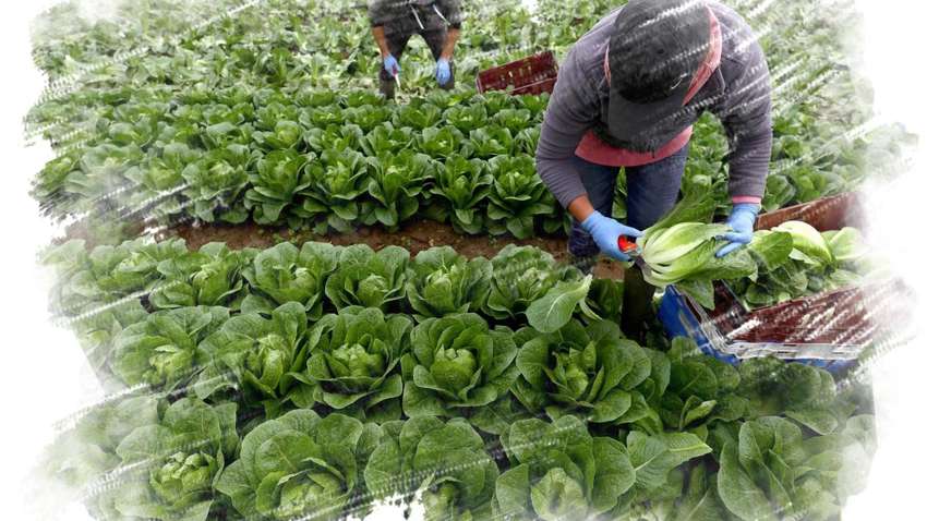 Кількість нелегалів з України в ЄС "зашкалює", - Євростат 