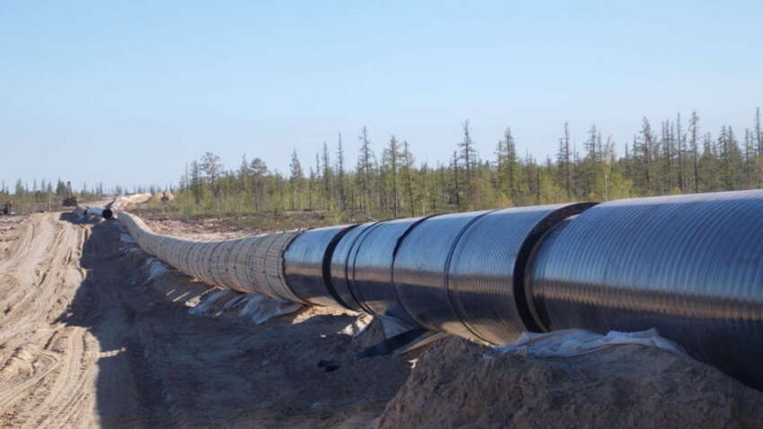 Киев вынужденно пойдет на "поклон" друзьям Путина в принципиальном вопросе: озвучено потрясающее заявление