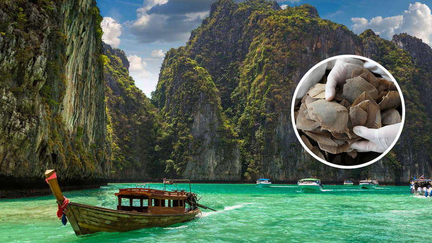 Цей сувенір краще не везти з Таїланду: поліція накрила велику партію контрабанди Цей сувенір краще не везти з Таїланду: поліція накрила велику партію контрабанди