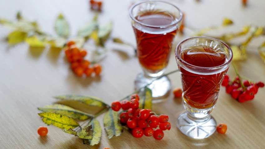 ТОП-5 коктейлів з осінніх ягід ТОП-5 коктейлів з осінніх ягід