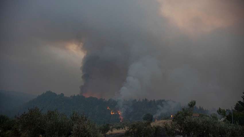В Греции расследуют причины пожаров: скольких людей арестовала полиция В Греции расследуют причины пожаров: скольких людей арестовала полиция