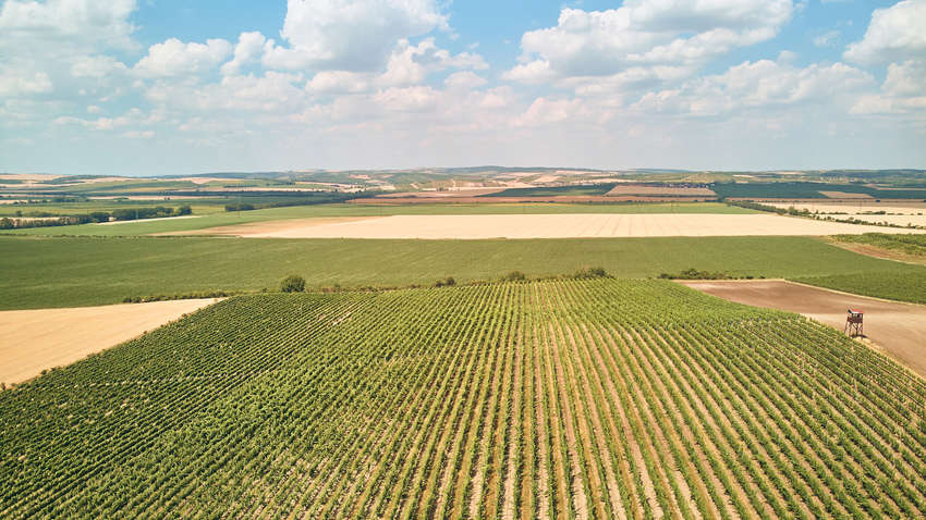 В 2020 году Госгеокадастр создаст цифровую модель территорий Украины, - Гончарук 