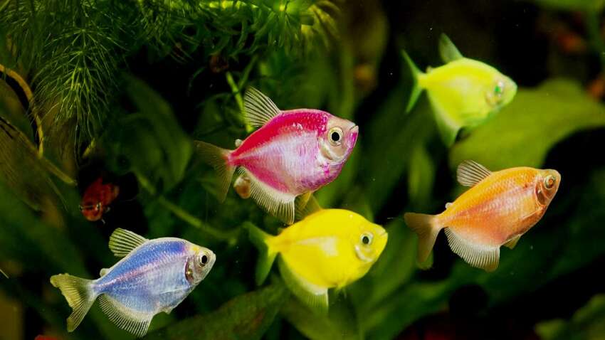 Они молча умирают в темноте: кого блекауты убивают быстрее людей