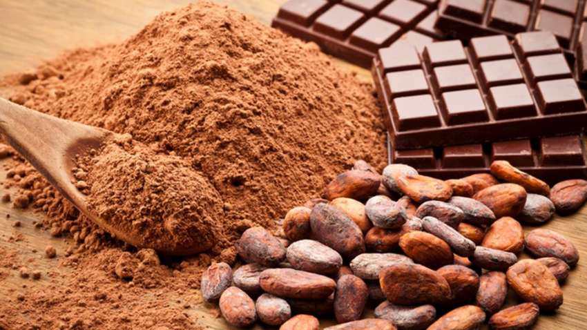 Рынок какао в мире: почему цены на шоколад бьют рекорды