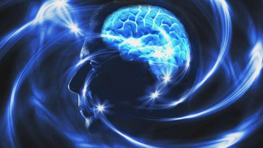 Ученый рассказал, где у человека находится душа Ученый рассказал, где у человека находится душа