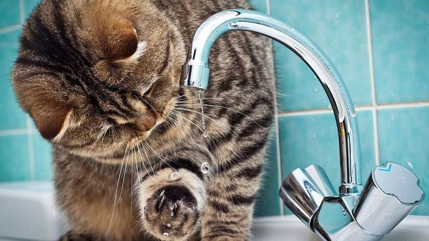 Часть Одессы останется без воды: список адресов