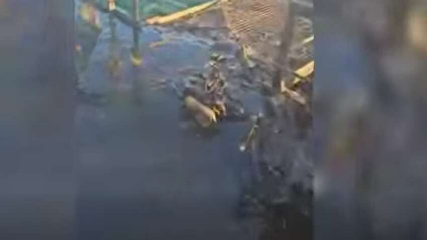 Россия пошла на международную провокацию: дрон атаковал турецкое гражданское судно в Черном море Россия пошла на международную провокацию: дрон атаковал турецкое гражданское судно в Черном море